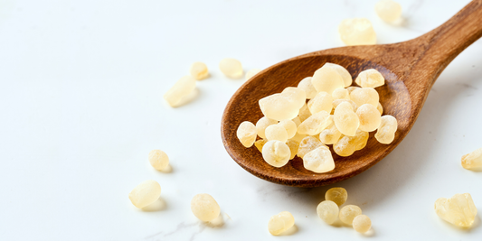 What Is Mastic Gum? (And Why It’s Been Used for 2,000 Years)